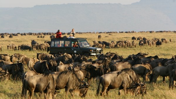 Safari en Kenia